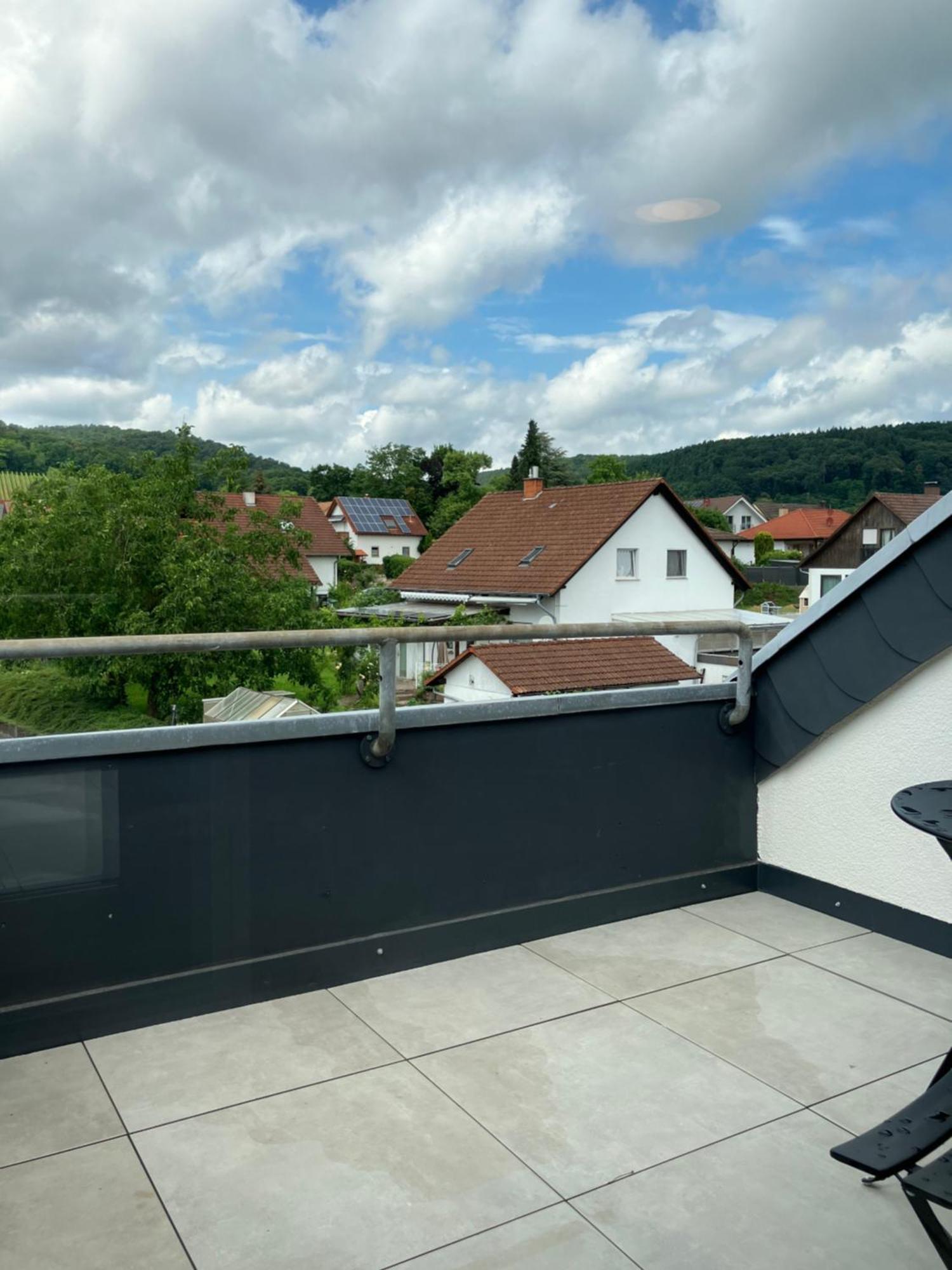 Amelie No 3 Hotel & Appartements Schweigen-Rechtenbach Kültér fotó